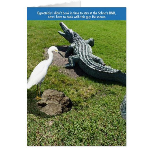 Egret & Gator Cards (Front)