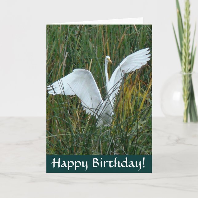 Egret Happy Birthday Card (Front)