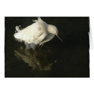 Egret in Lake Merritt, by Heidi Rand Cards