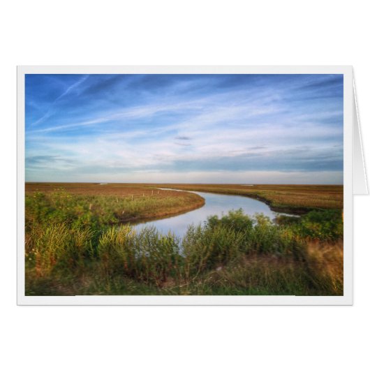 Egret Island, Matagorda, TX (Front Horizontal)