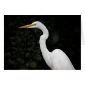 Egret note card (Front Horizontal)