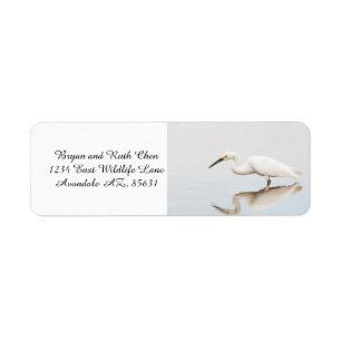 Egret on still pond label