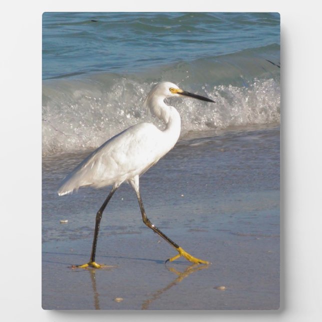 Egret on the Beach Plaque (Front)