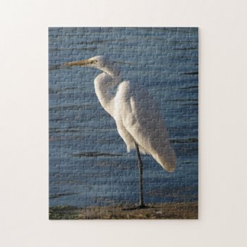 Egret Puzzle  11" X 14"  252 Pieces - Challenging Jigsaw Puzzle by hawkysmom at Zazzle