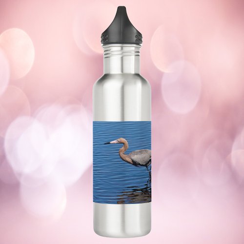 Egret Reddish Bird Photo Florida Stainless Steel Water Bottle