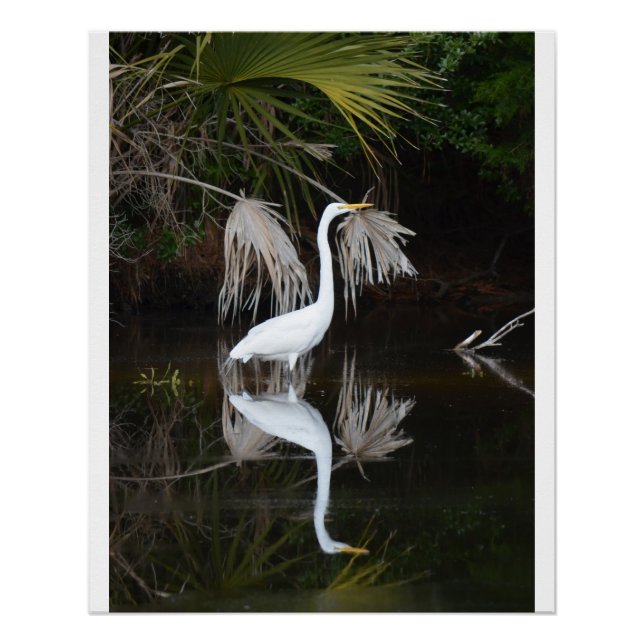 Egret & Reflection Photo Glossy Poster (Front)