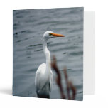 Egret