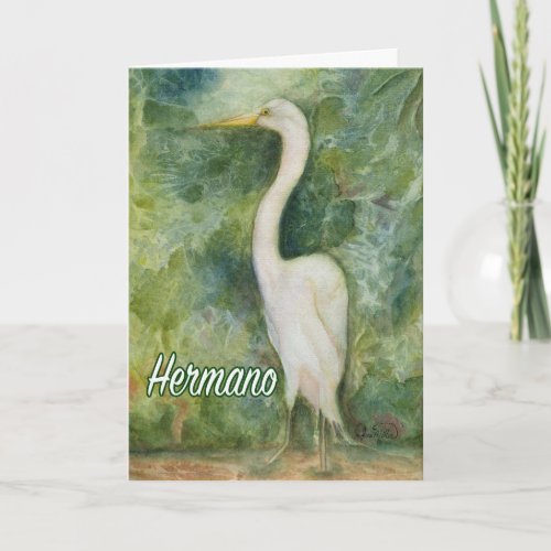 Egret white wilderness Hernano D_Day card Spanish