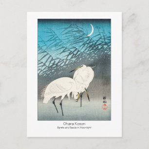 Egrets and Reeds in Moonlight - Ohara Koson -Art + Postcard