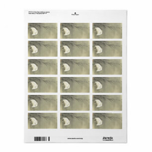 Egrets in Swamp by Ohara Koson Label