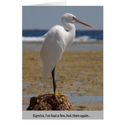 Egrets I've had a few Cards (Front)
