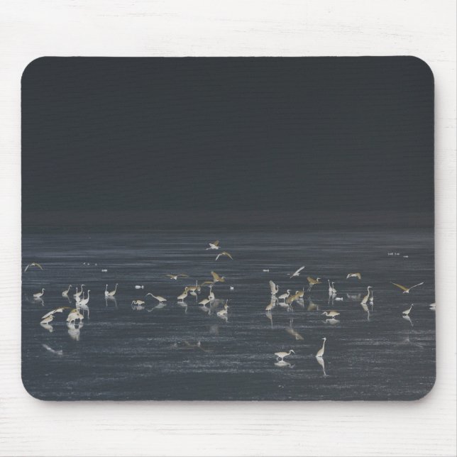 Egrets On The Midnight Blue Ocean Mouse Pad (Front)