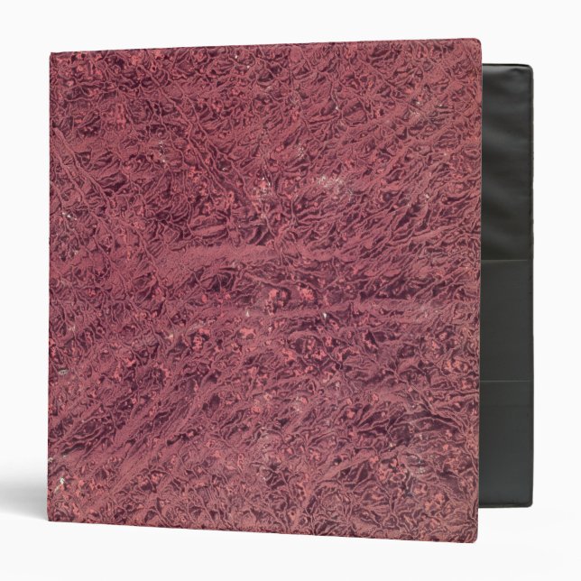 Egype 3 Ring Binder (Front/Inside)