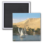 Egypt, Aswan, Nile River, Felucca Sailboats, 2 Magnet at Zazzle