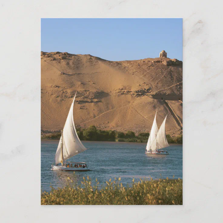 Egypt Aswan Nile River Felucca Sailboats Postcard Zazzle