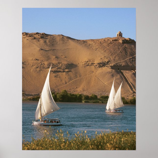Egypt, Aswan, Nile River, Felucca sailboats, Poster (Front)