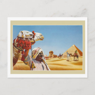 Egypt, badouin with his camel in front of pyramids postcard