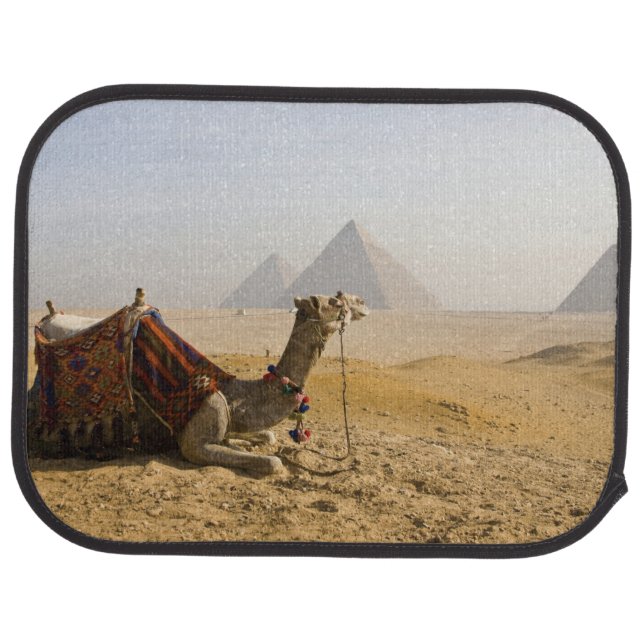 Egypt, Cairo. A lone camel Car Mat (Rear)