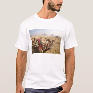 Egypt, Cairo. Resting camels T-Shirt