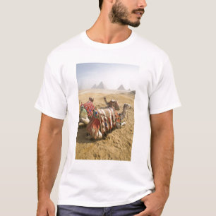 Egypt, Cairo. Resting camels T-Shirt