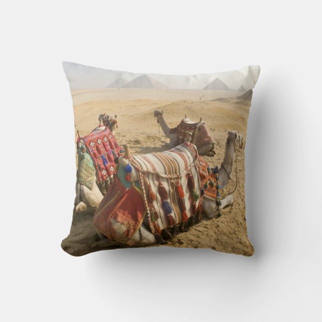 Egypt, Cairo. Resting camels Throw Pillow (Front)