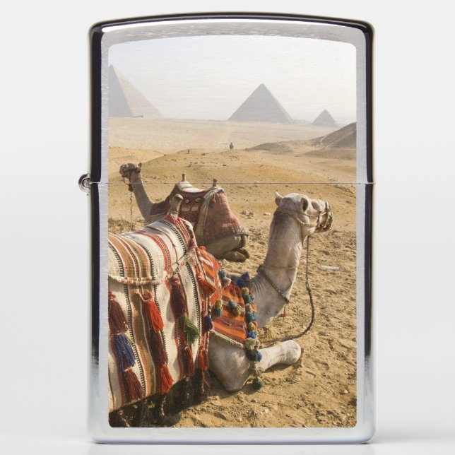 Egypt, Cairo. Resting camels Zippo Lighter (Front)