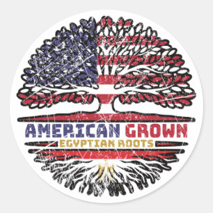 Egypt Egyptian US American USA United States Tree Classic Round Sticker