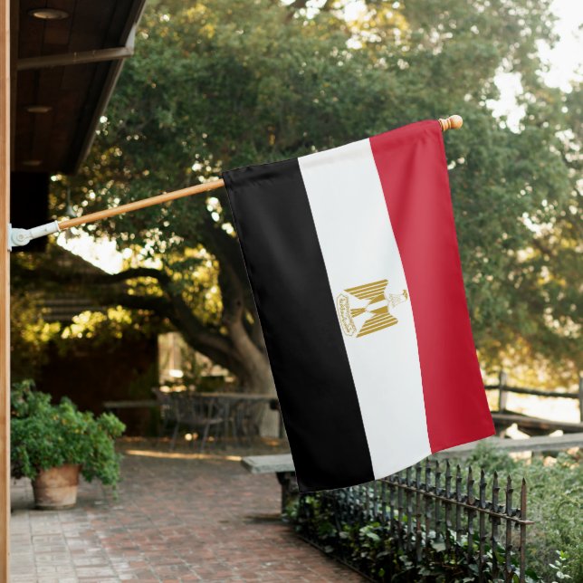 Egypt flag (In SItu)