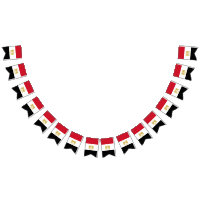 Egypt flag bunting banner