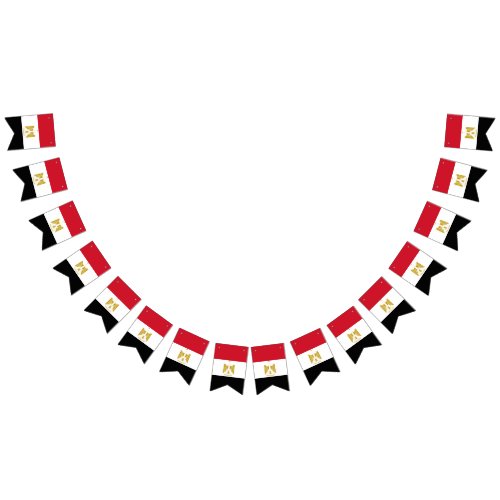 Egypt flag bunting banner