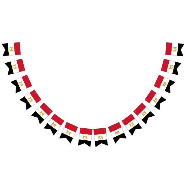 Egypt flag bunting banner (All)