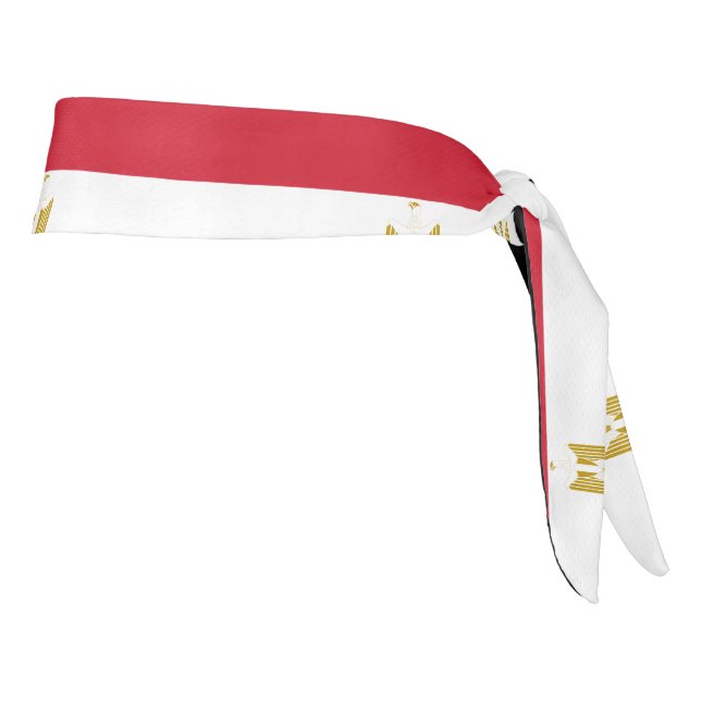 Egypt flag Headband