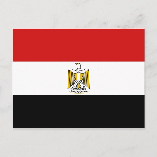 Egypt Flag Postcard (Front)