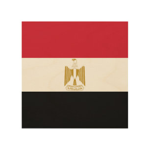 Egypt flag wood wall art