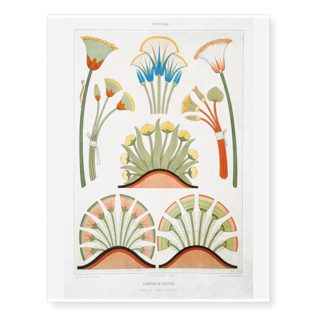 Egypt Flower Lotus Illustration Temporary Tattoos (Front)