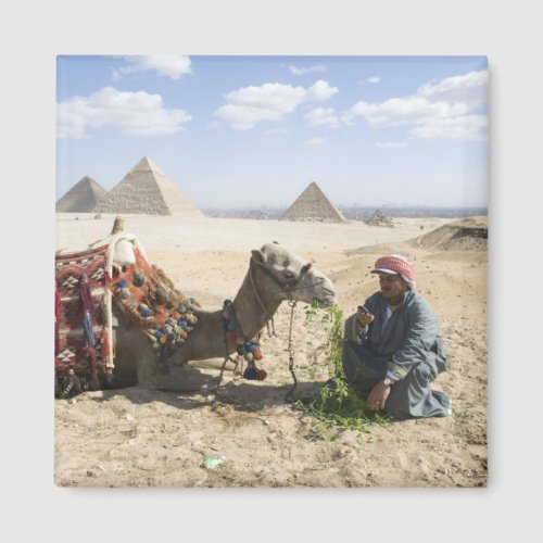 Egypt Giza Native man feeds his camel in Magnet