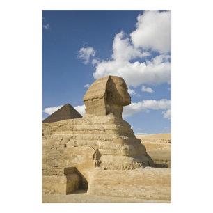 Egypt, Giza. The great Sphynx rises above the Photo Print
