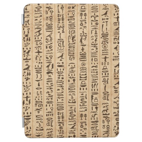 Egypt hieroglyphs grunge seamless pattern iPad air cover