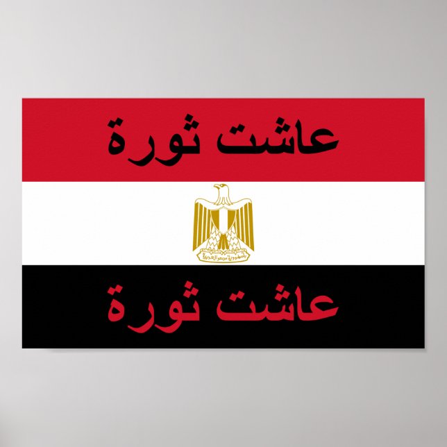 Egypt "Long Live the Revolution" Poster (Front)