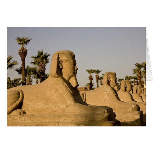 Egypt, Luxor. The Avenue of Sphinxes leads to (Front Horizontal)