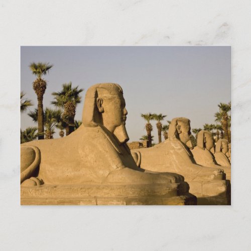 Egypt Luxor The Avenue of Sphinxes leads to Postcard