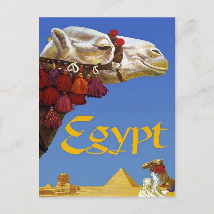 Egypt Postcard Zazzle
