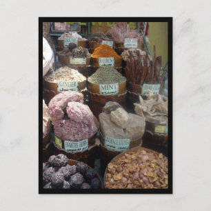egypt spice border postcard