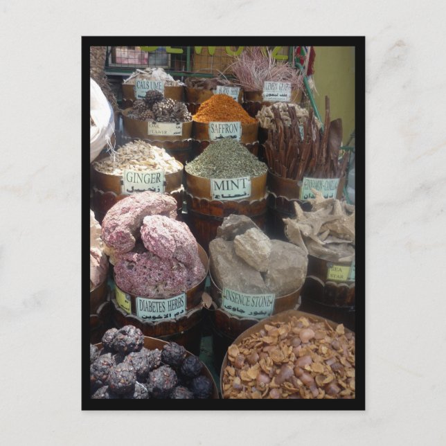 egypt spice border postcard (Front)