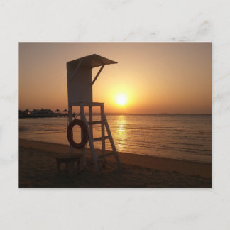 Egypt Sunset Postcard