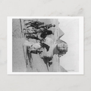 Egypt Tourists Traveling the Nile, Sphix Postcard