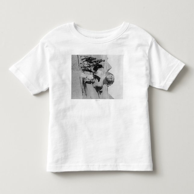 Egypt Tourists Traveling the Nile, Sphix Toddler T-shirt (Front)