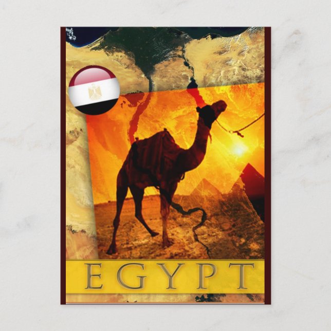 EGYPTIAN CAMEL POSTCARD (Front)