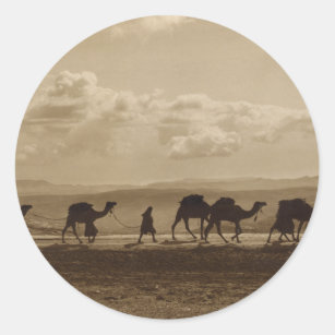 Egyptian camel transport passing over Olivet, 1918 Classic Round Sticker