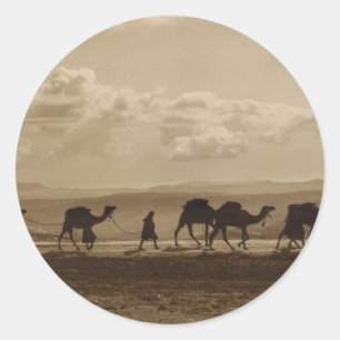 Egyptian camel transport passing over Olivet, 1918 Classic Round Sticker